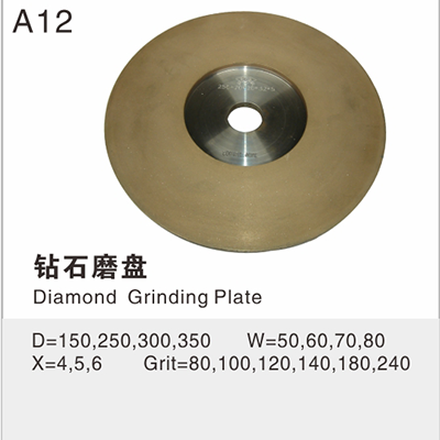 Diamond grinding disc