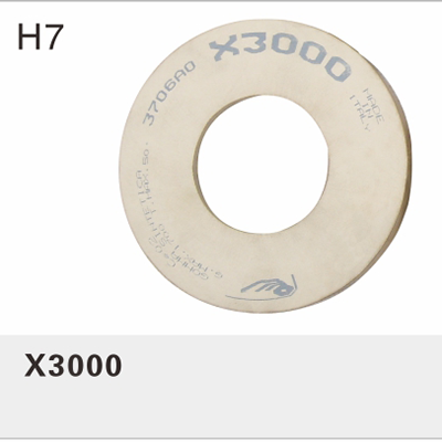 X3000